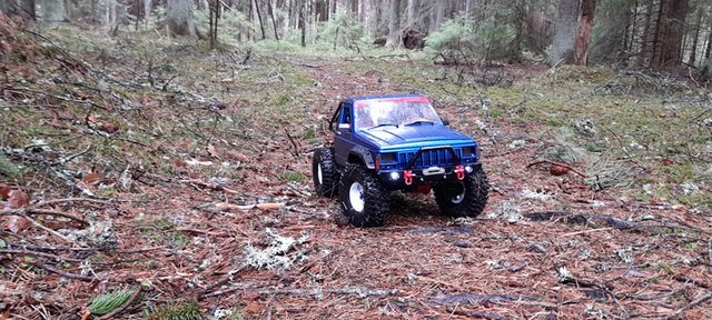 178742381_207859560878513_8264787854269923641_n