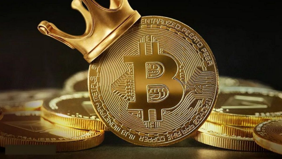 article content image