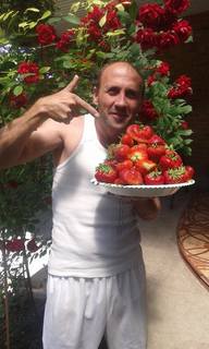 18920700_848598661955316_6314519580345414966_n