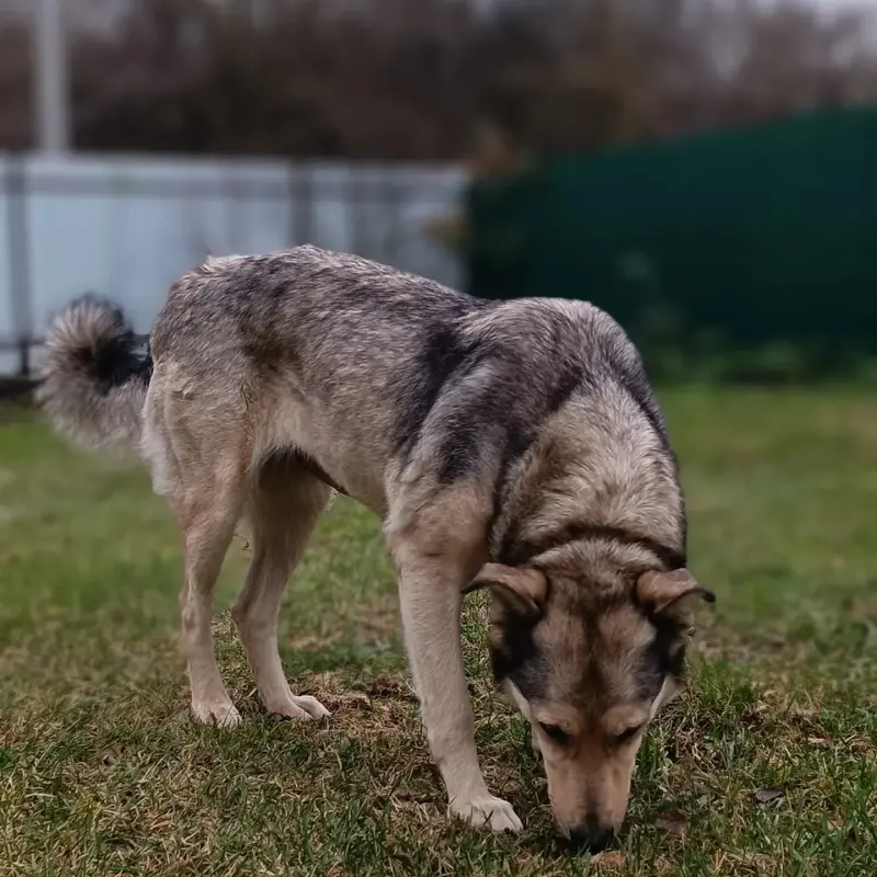 изображение_viber_2023-11-20_23-12-55-867