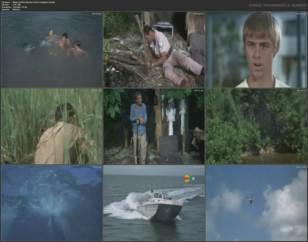 Flipper S03E03 Disaster in the Everglades (2).mkv