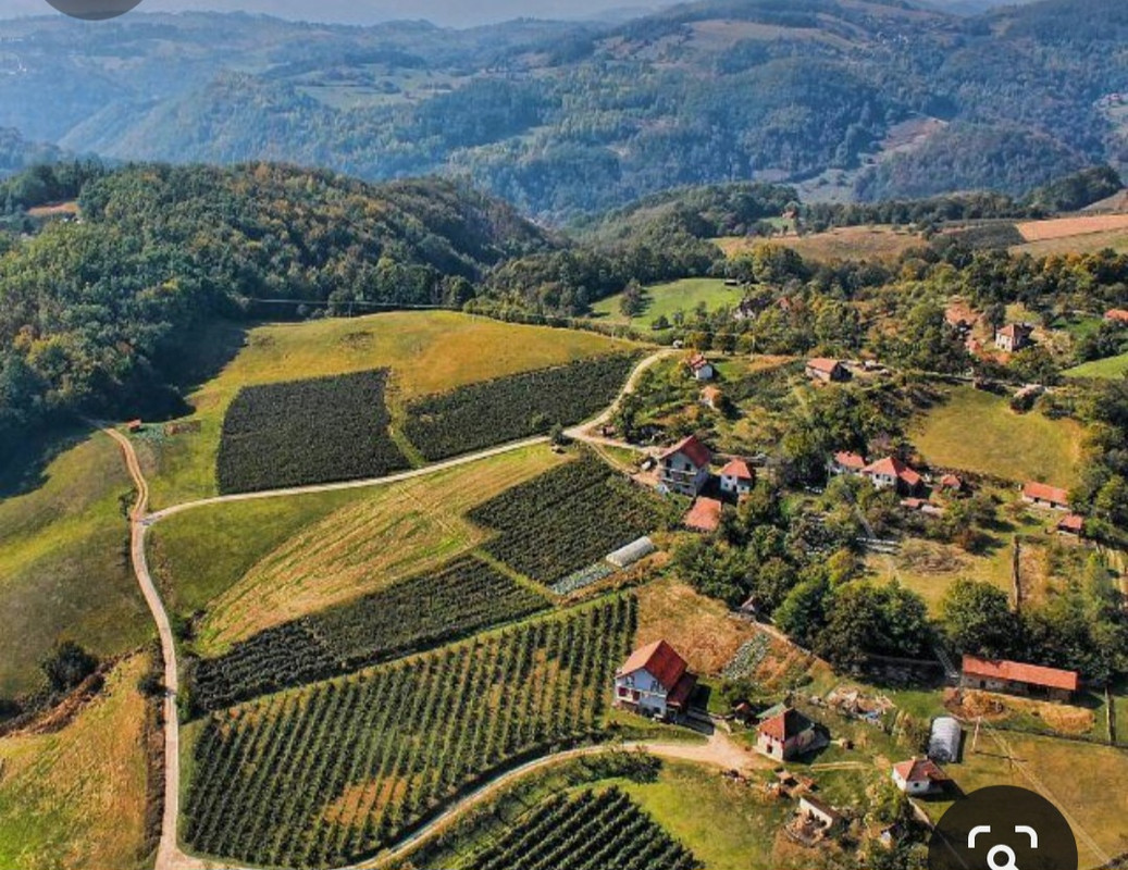 Screenshot_20231119_101340_Pinterest