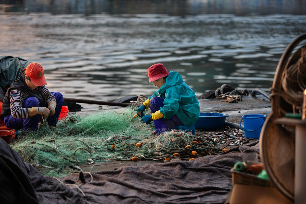 people-fishing-net-4887070-1280.jpg