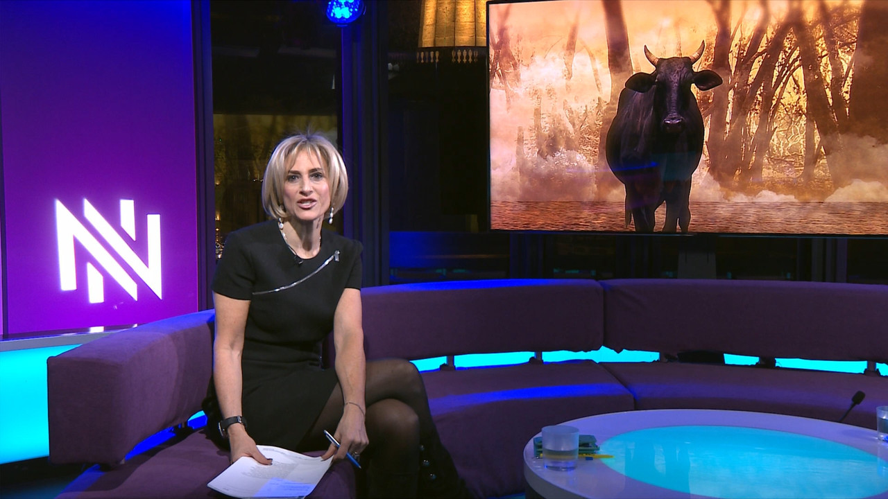 Newsnight_20201202_22452325.ts_snapshot_33.46.609