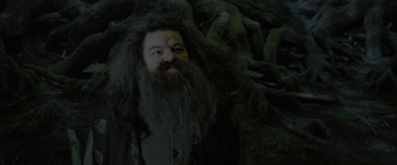 vlcsnap-2025-03-18-16h36m06s105