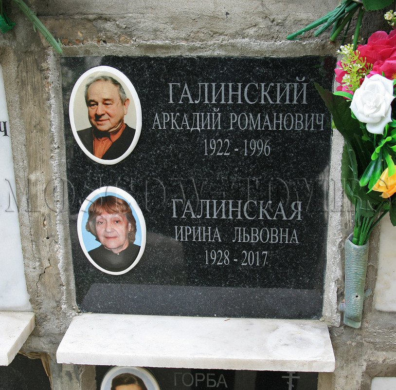 galinskaya-il