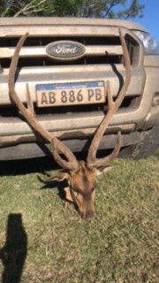 B4F54219-CE22-434B-BBF2-EB4598A25B94