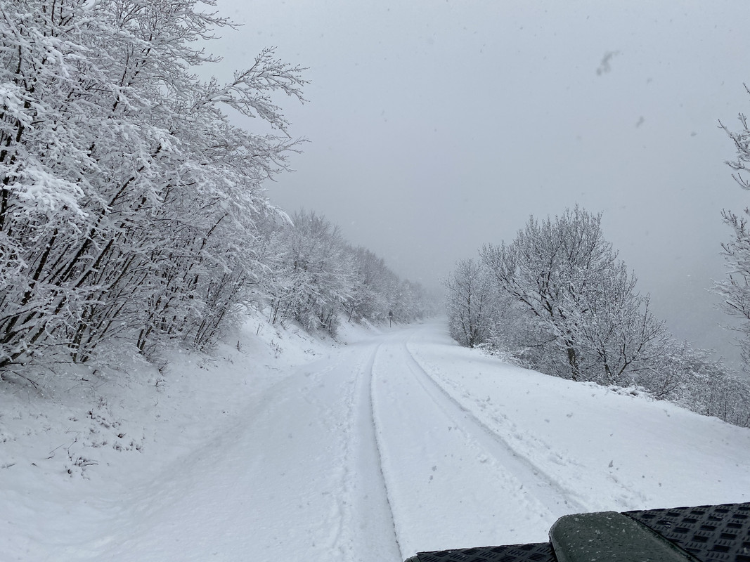 66E8790C-9647-42BE-9A8E-BC32EA4B049D