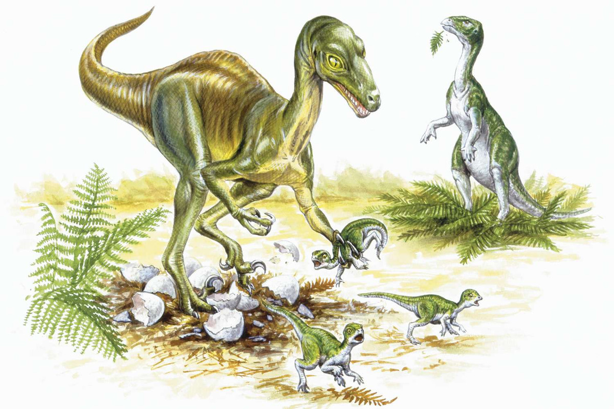 Troodon-58d2a19c3df78c516202cc13