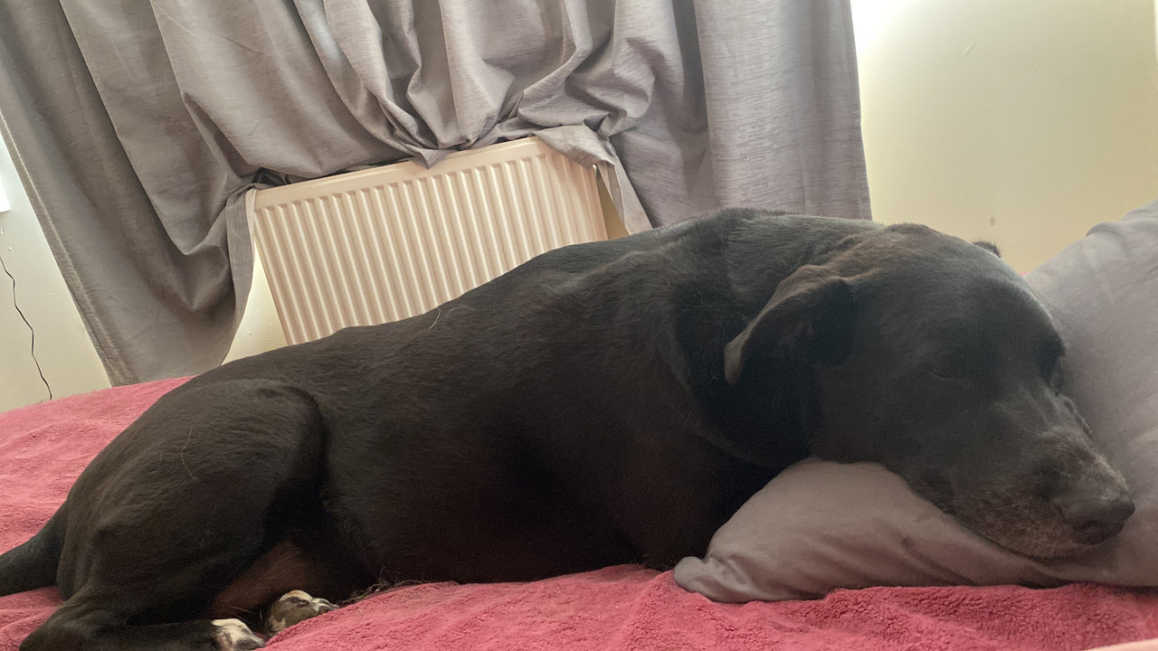 9938D185-77EB-4FE1-8AD9-8DC03456DEF0