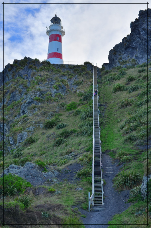 Wairarapa, esa gran desconocida - Escapadas y rutas por la Nueva Zelanda menos conocida (11)