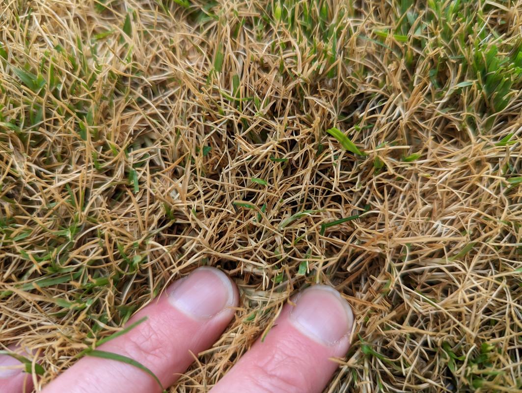 PXL_20220521_213358875