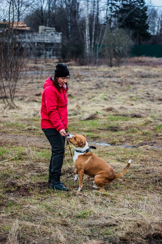 без имени-1163