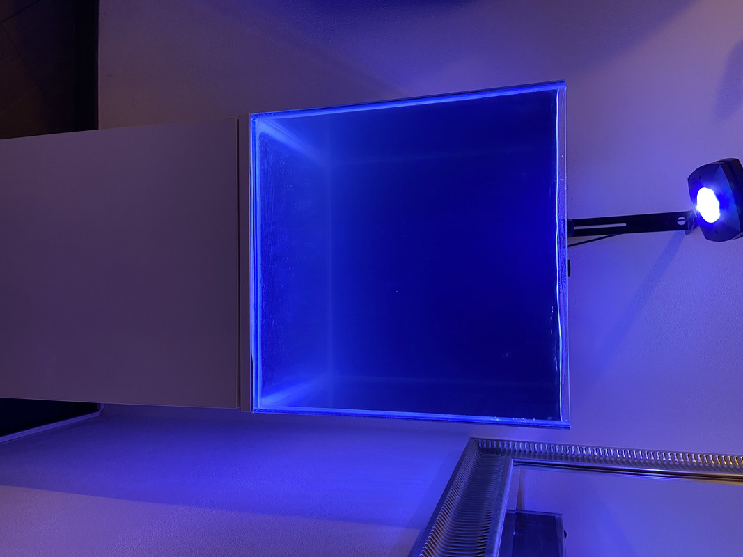 1CAFB5C5-8D13-4F53-B721-E8B2D872B323