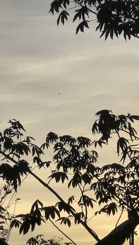photo 2025 12 15 03 26 45