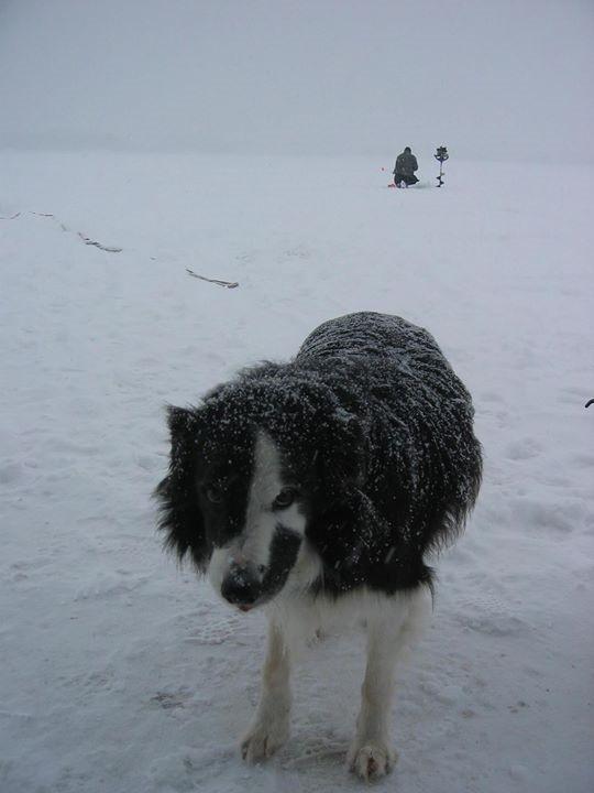 296-MMS-1438304720-attachment1-Photo