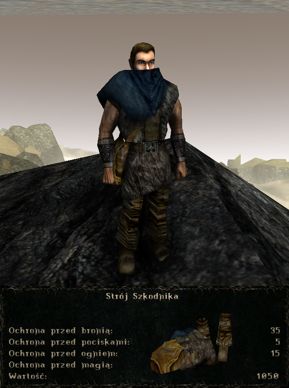 pancerze i ubrania (26)