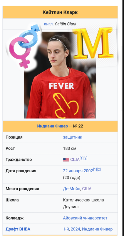 https://i.postimg.cc/CMq1Tmxh/Cupace20250704083657643.png