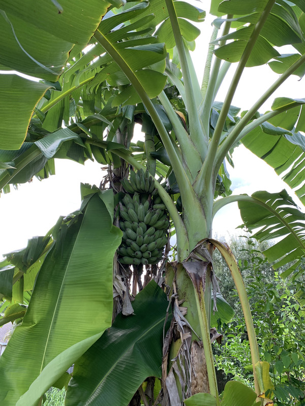 9209515A-1CCD-45BE-BBB0-9B80F5DB0DAC