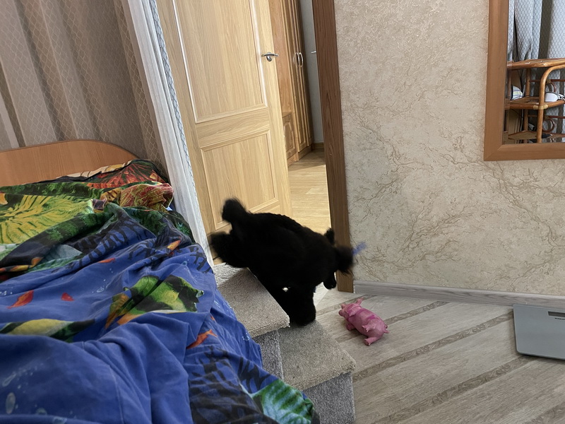 https://i.postimg.cc/CMqFhKbz/IMG-8302.jpg