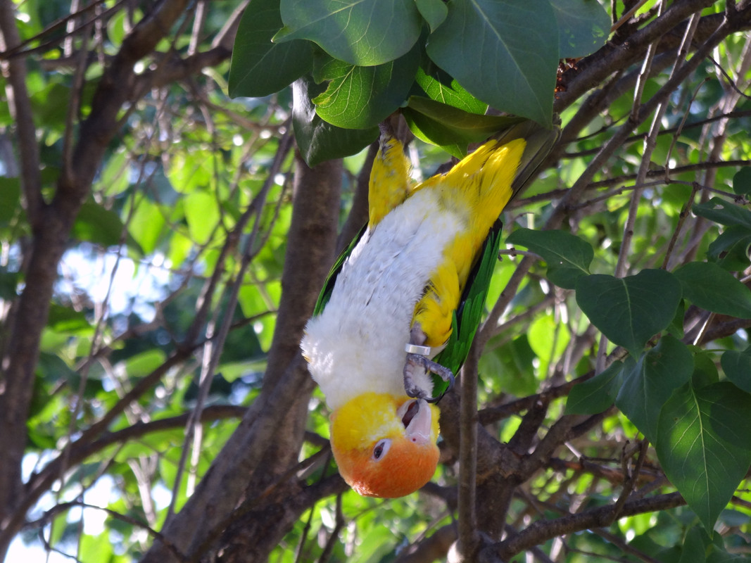 DSC03251