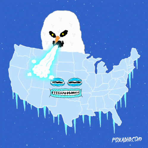 Usa Winter GIF