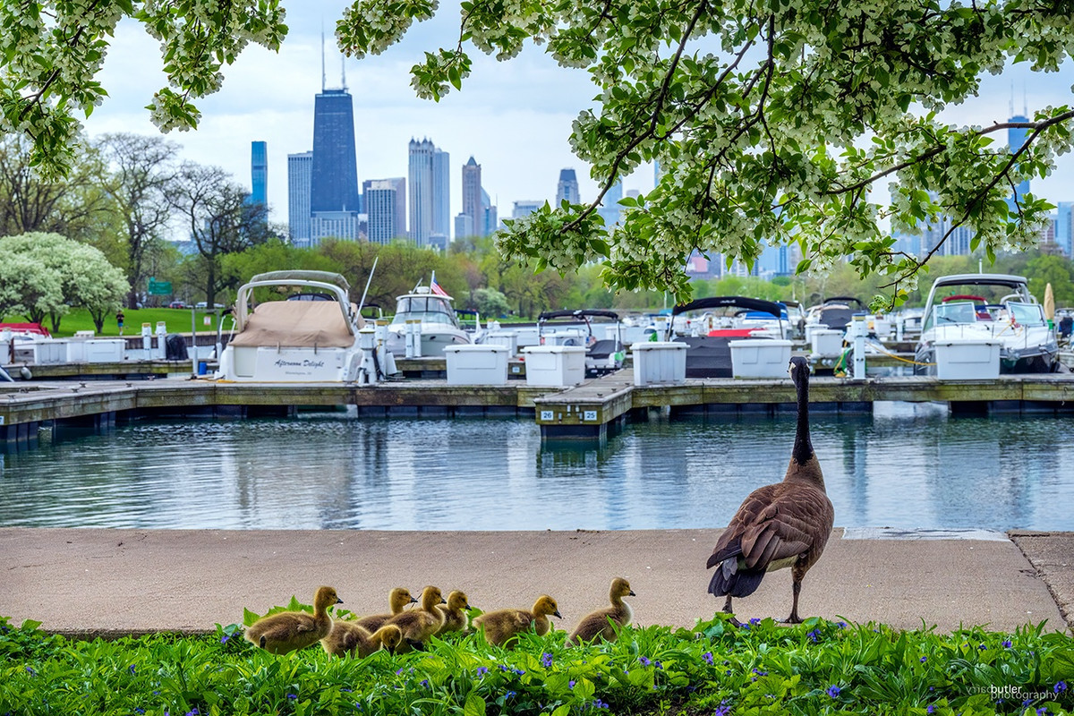 281123659-5034591653295059-804364228975434903-n