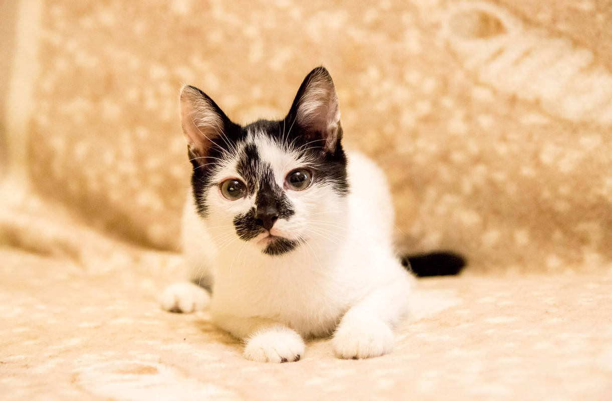 подросток-1-5