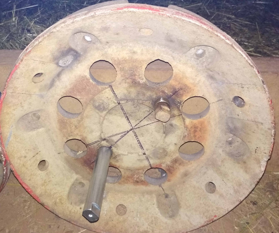 67 hřibek se starým a dlouhým trnem