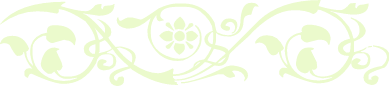 text-1740537317317.png