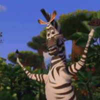 this-equine-day-av4.gif