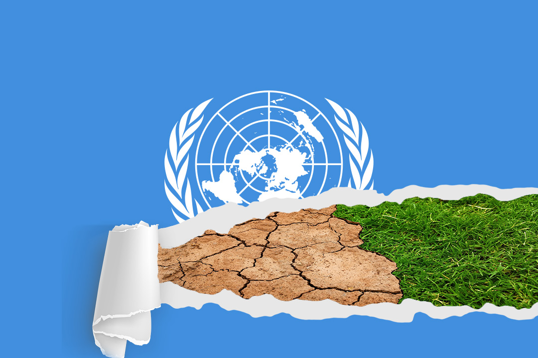 Acceso a un medio ambiente