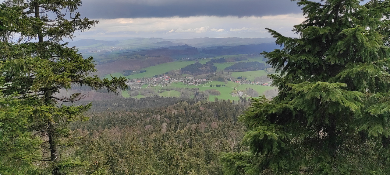 03.22 - IMG_20230429_155959 (Czesio1)