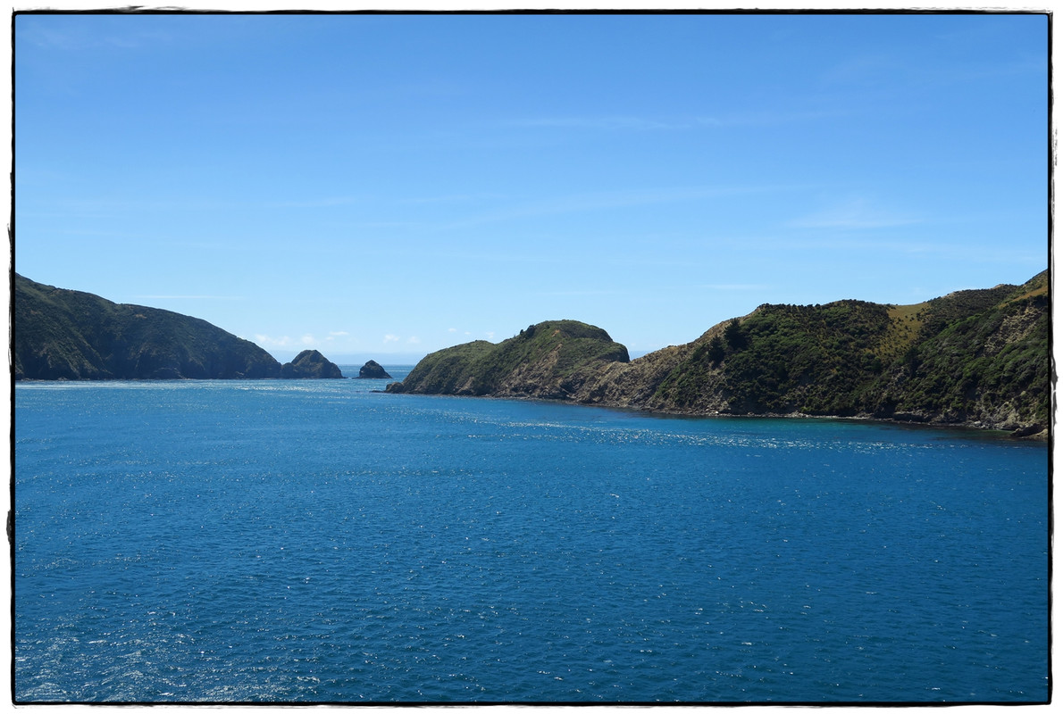 Escapadas y rutas por la Nueva Zelanda menos conocida - Blogs de Nueva Zelanda - Escapada a Picton (diciembre 2017): Queen Charlotte Track (3)