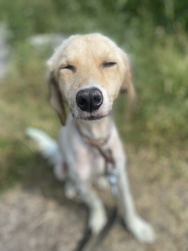 50D1DB3D-8BC0-486F-AD39-F9B74A72CE31