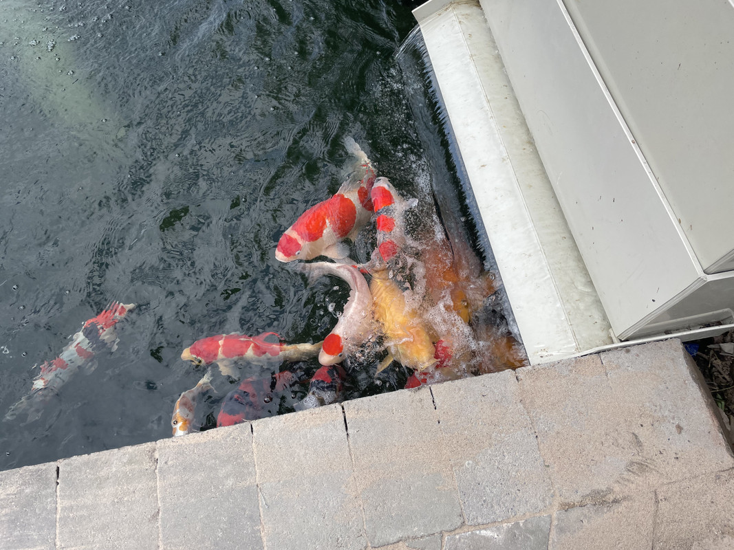 1DDDB3AD-814A-48BE-8CE8-B8CC77586A66