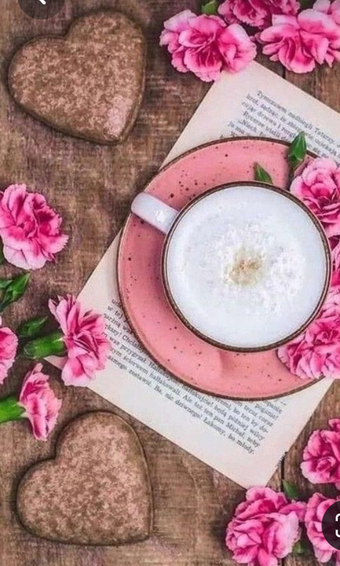 Screenshot_20230315_232642_Pinterest