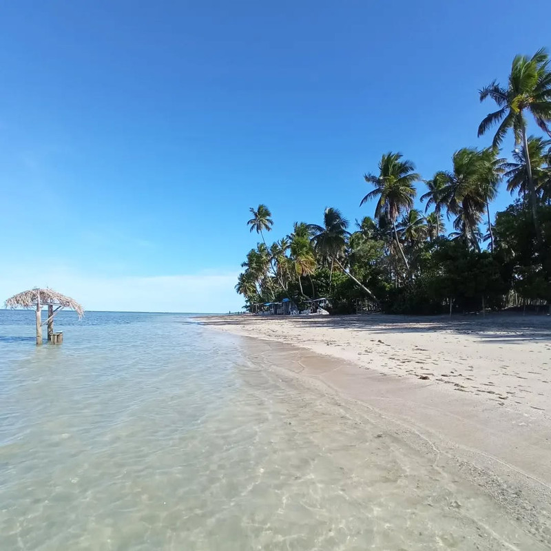 Vista aérea das piscinas naturais de Moreré com águas cristalinas