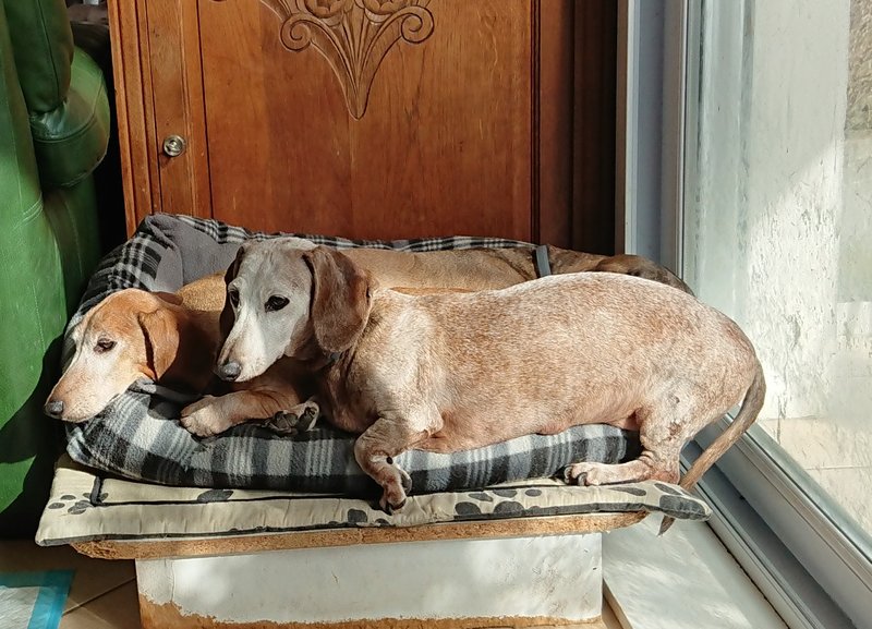 [Image: 20240305-184527.jpg]