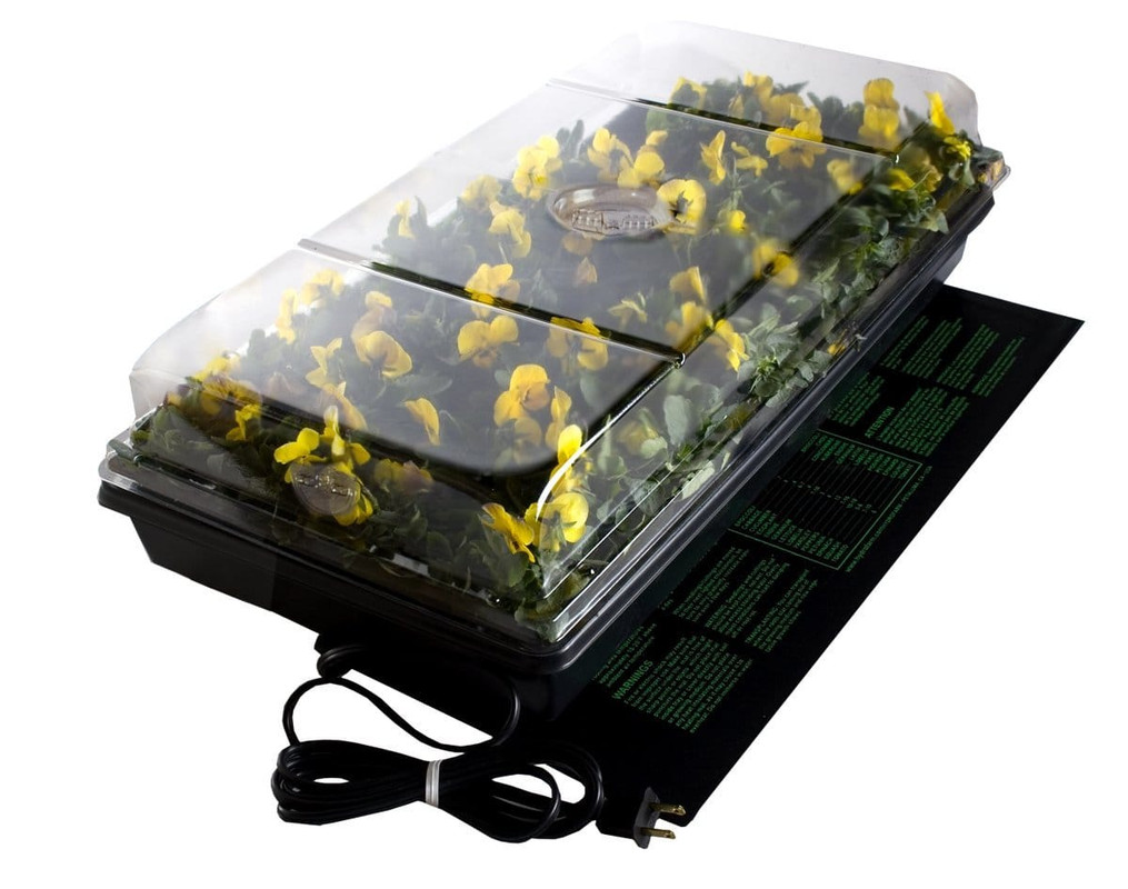 germinator