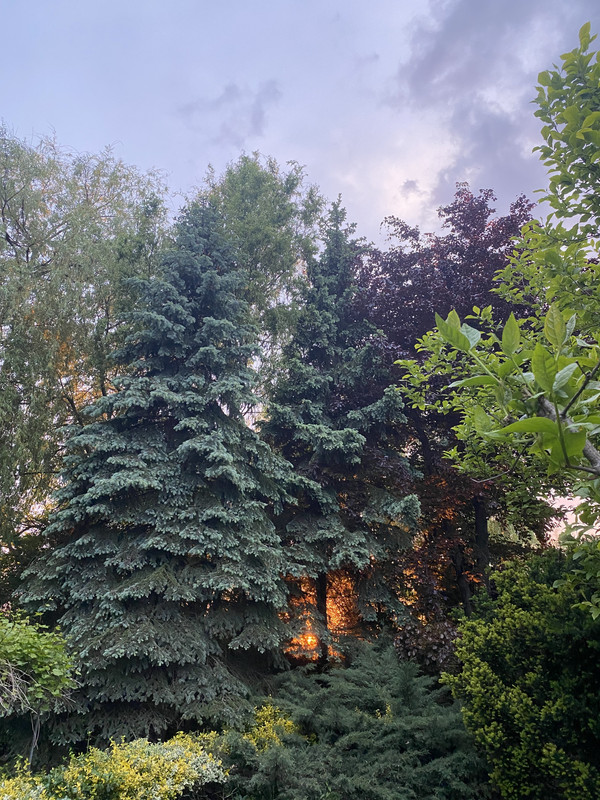 [Obrazek: IMG-5334.jpg]