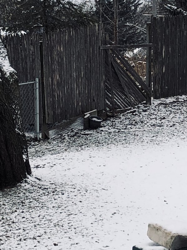 A50FEFA1-F930-48CE-B191-2B9B4EEB1ABD