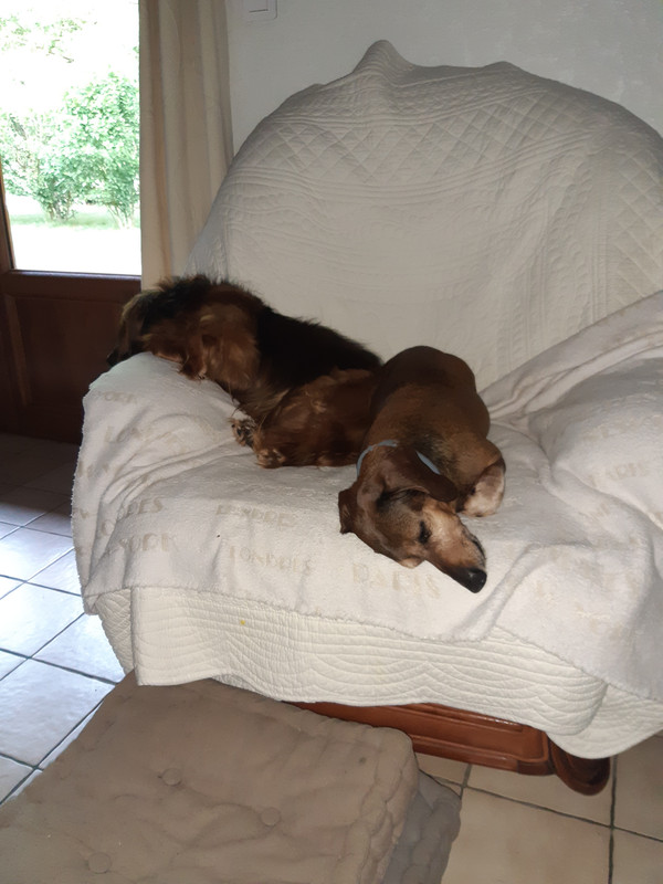 [Image: 20210619-192439.jpg]