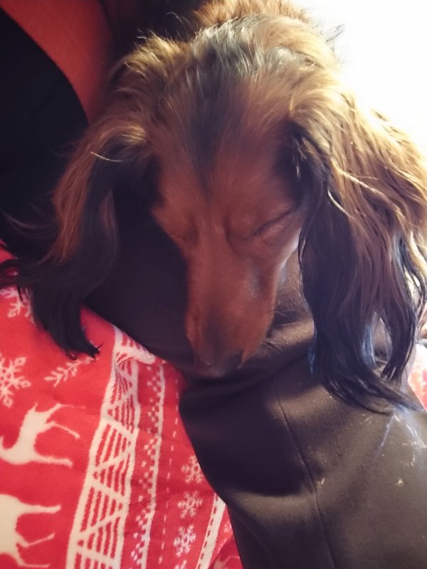 [Image: DSC-2267.jpg]