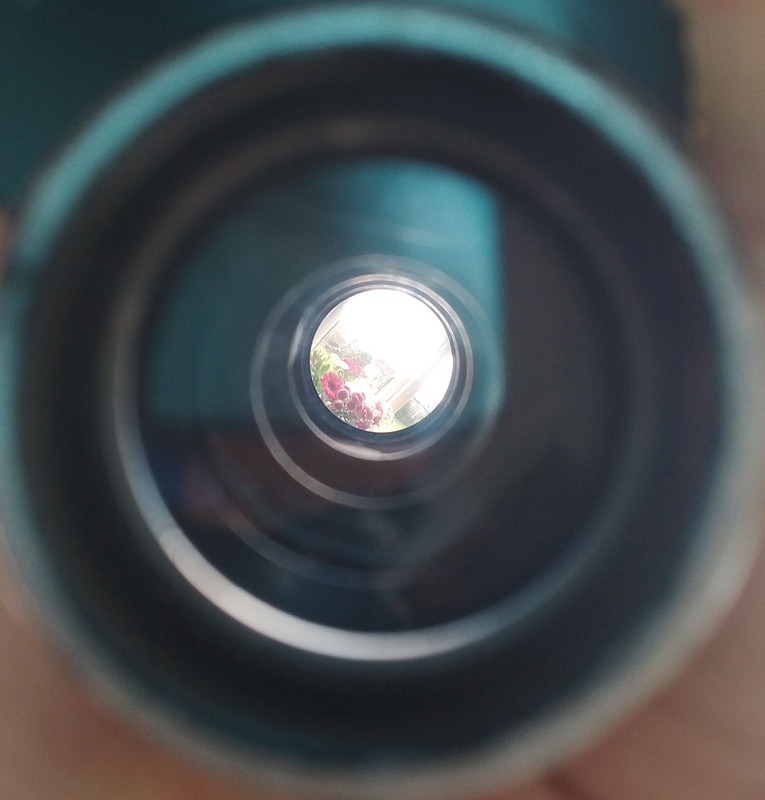 IMG_20250315_120002_283~2