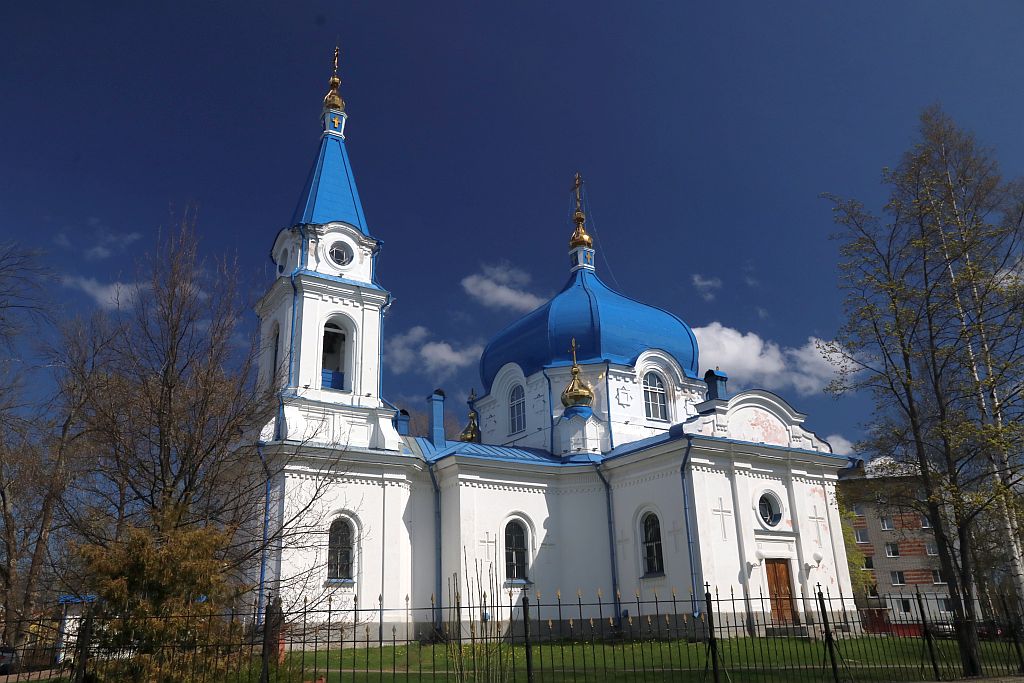 https://i.postimg.cc/CMsXnRm0/IMG-1451.jpg