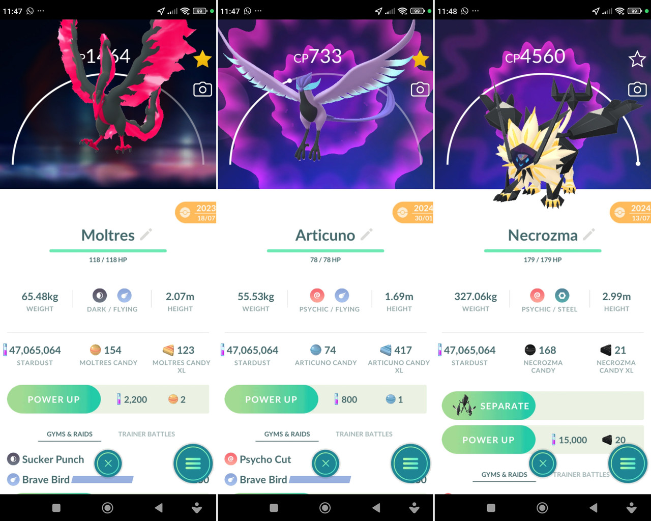 Polish 20260224 115626362