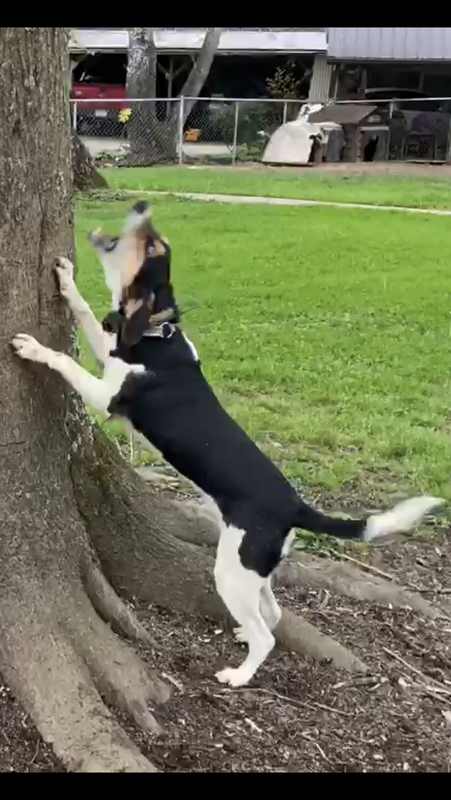 0A970C92-2382-4E6E-9866-F51A7BFF9C5E