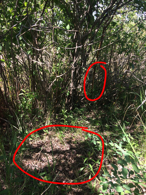 949F1FA3-3468-497B-9D22-2E55F71495F9