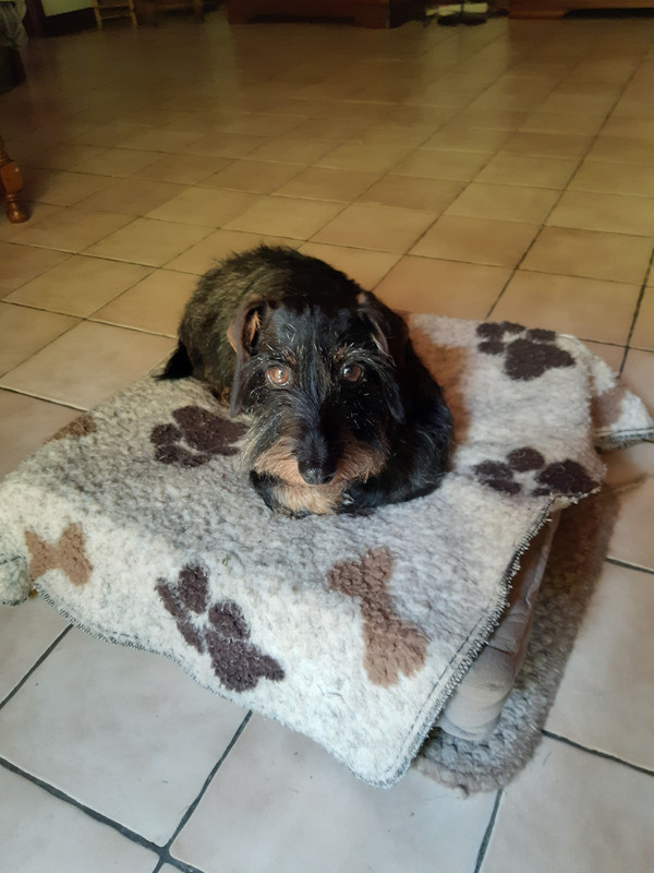 [Image: 20230606-120906.jpg]